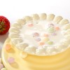 Halal certified Fruit & Vegetable Mixed flavor Ball Biscuits for Baby