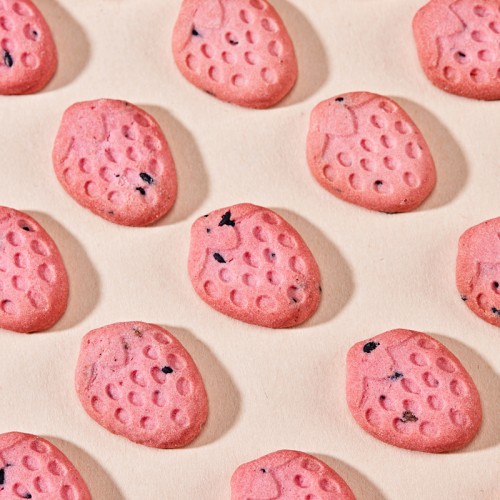 Halal certified Baby Strawberry biscuits From the Professional Baby snack Manufacturer in China